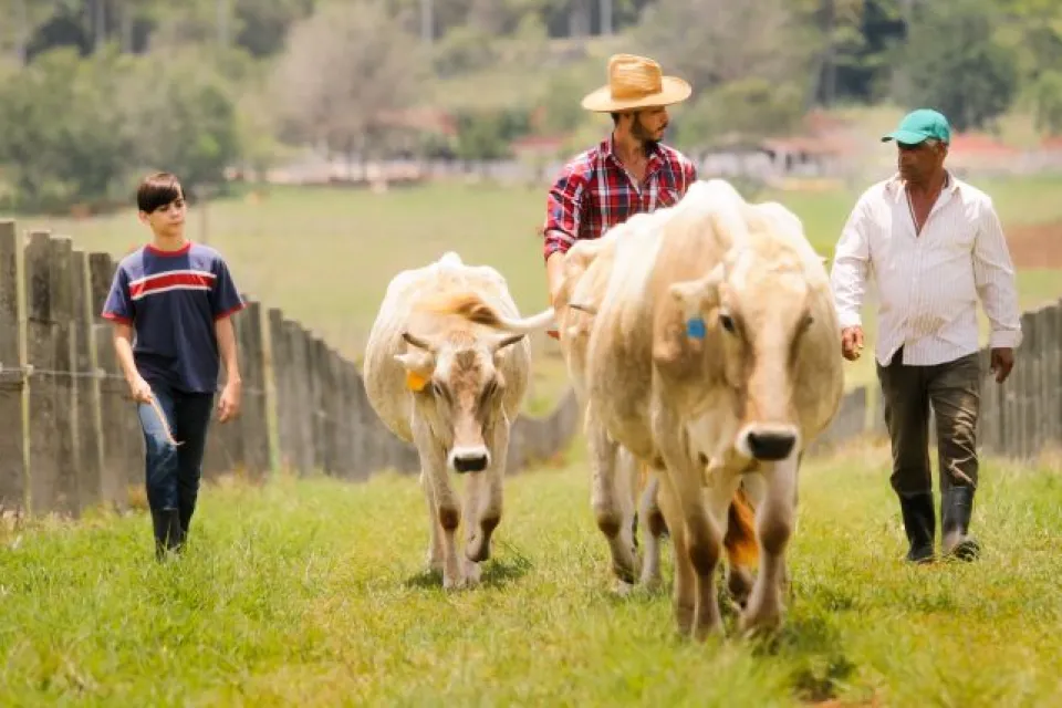 farmers with cows